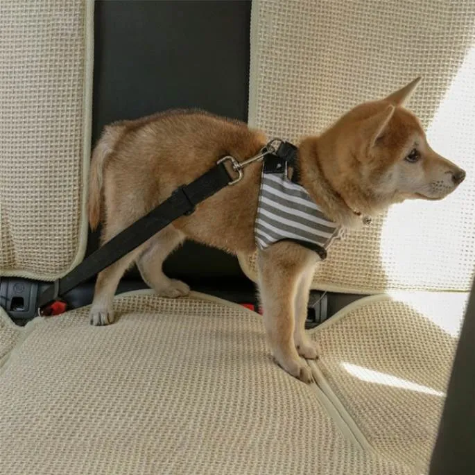 Adjustable Dog Car Seat Belt: Safe and Secure Travel for Your Pup!