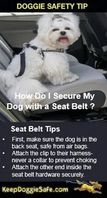 Alcott Dog Car Safety Belt