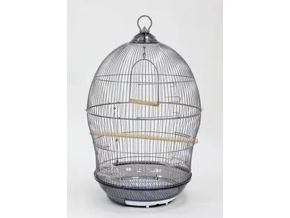 Bird Cage As Photo