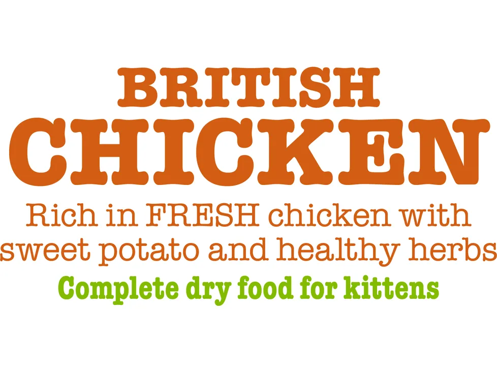 British Chicken Complete dry food for Kittens 1.5KG /Little BigPaw