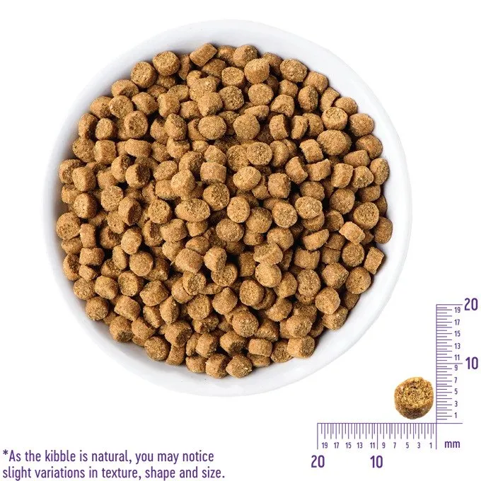 Complete Health Grained Chicken & Salmon Meal Puppy Dry Food