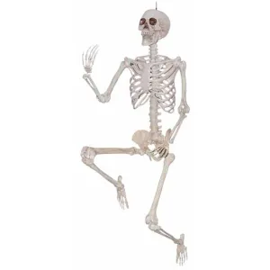 Lifesize Pose & Hold Skeleton - 5Ft Height