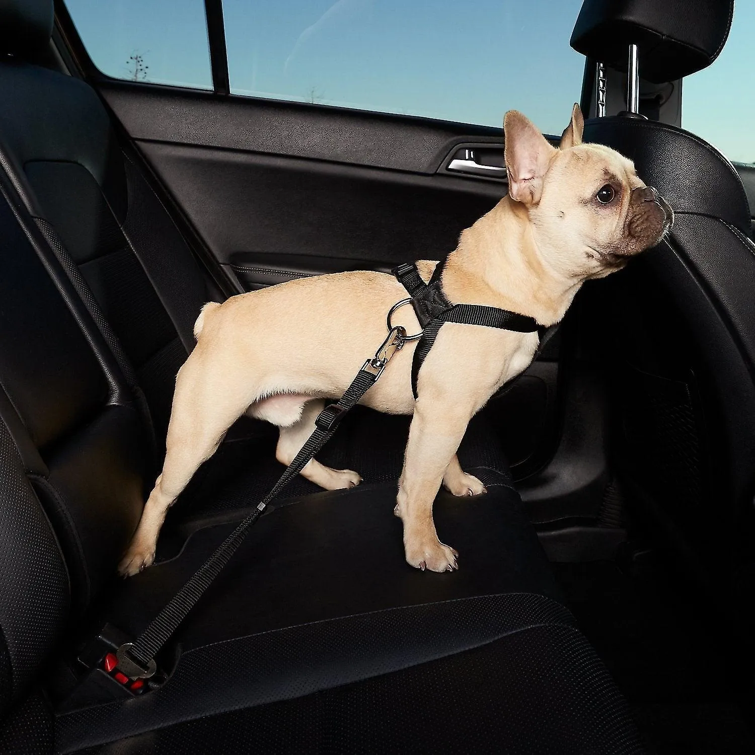 Pet Car Adjustable Seat Belt